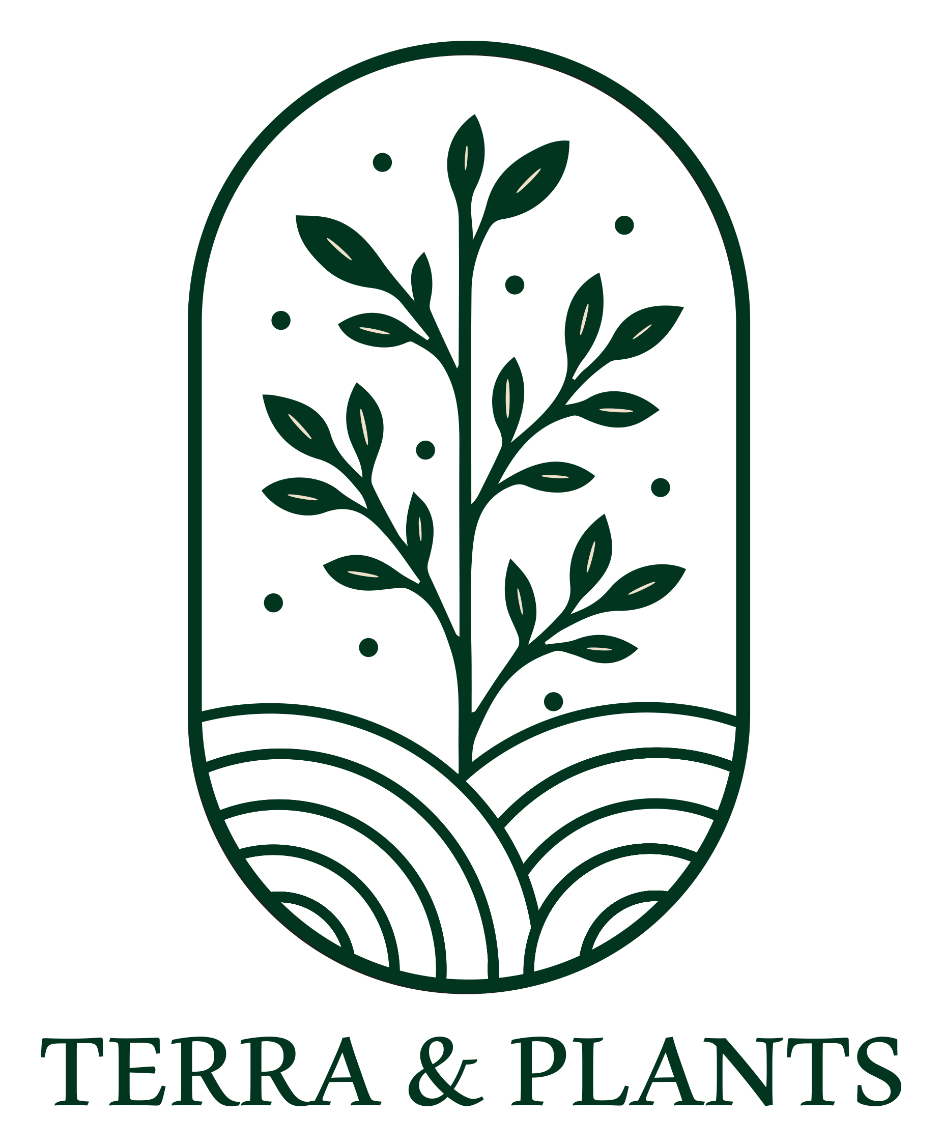 TERRA & PLANTS